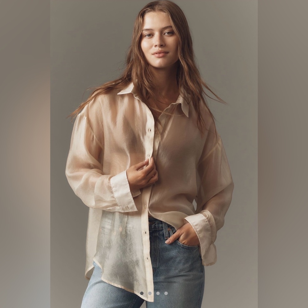 ✨NWT✨ Anthropologie Sheer Oversized Long Sleeve Button-down Shirt